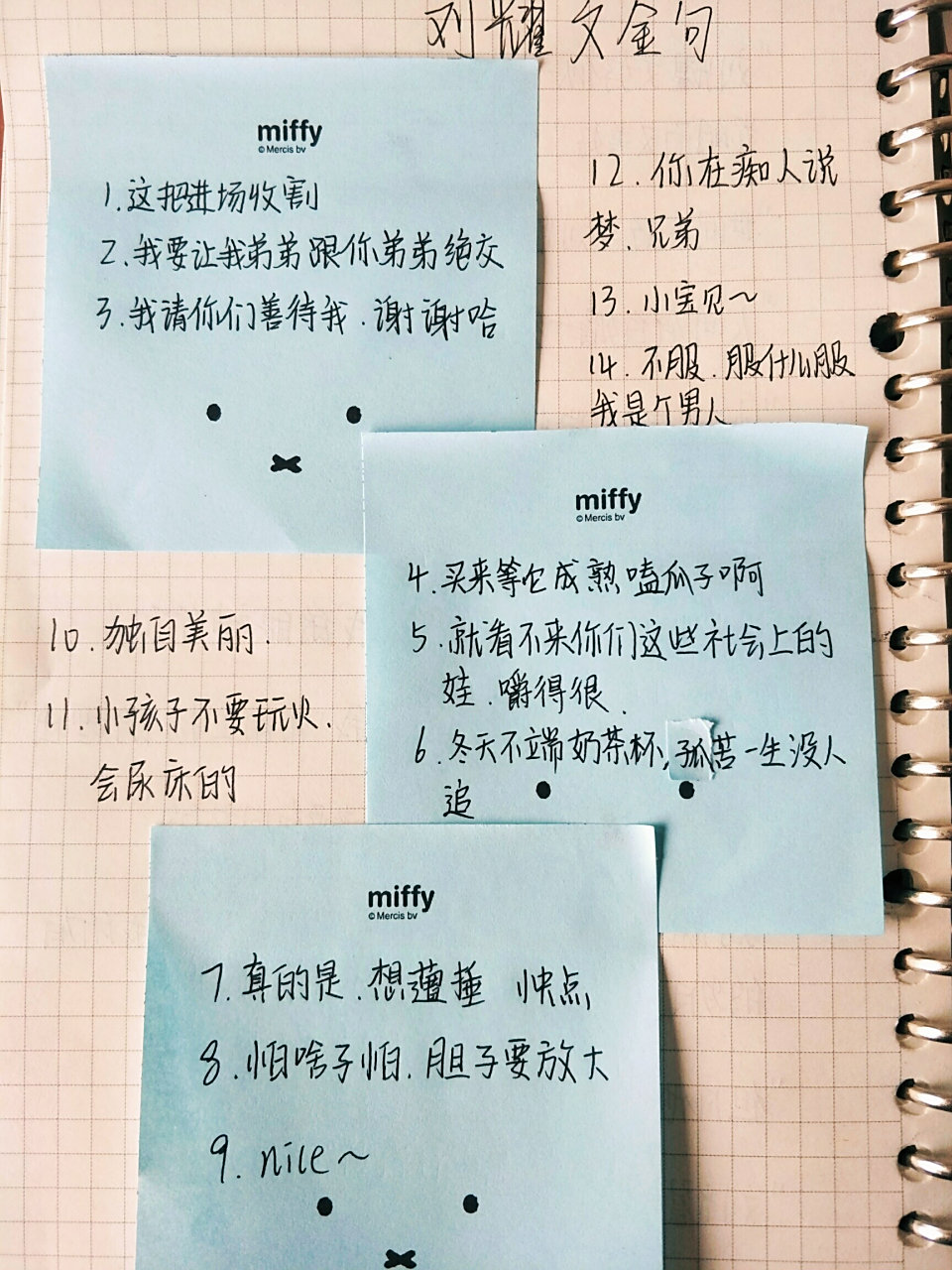 刘耀文文案|语录| 我陪你俯瞰大地,看遍爱和失去 ——刘耀文