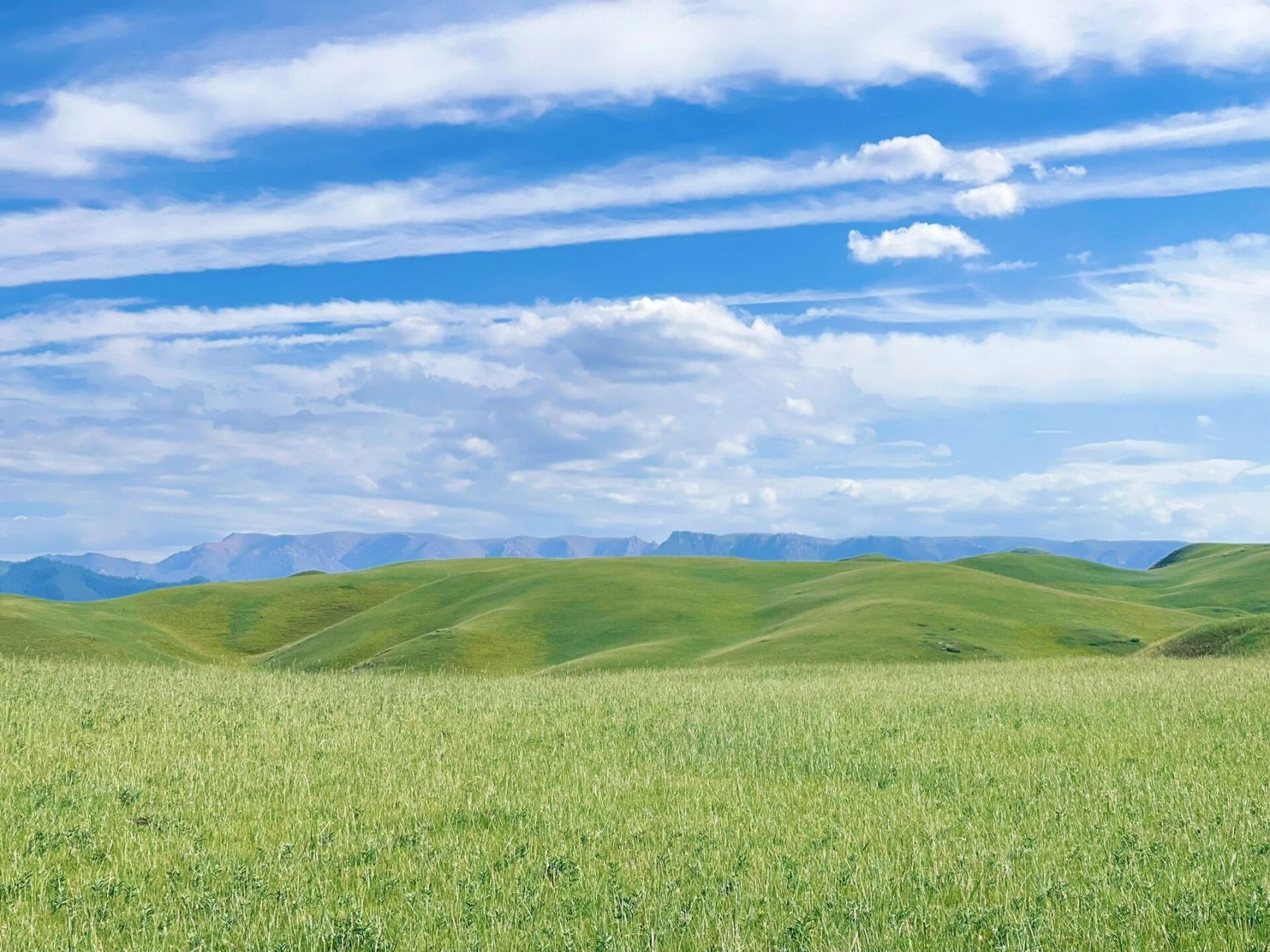 张掖·康乐草原,美到窒息.