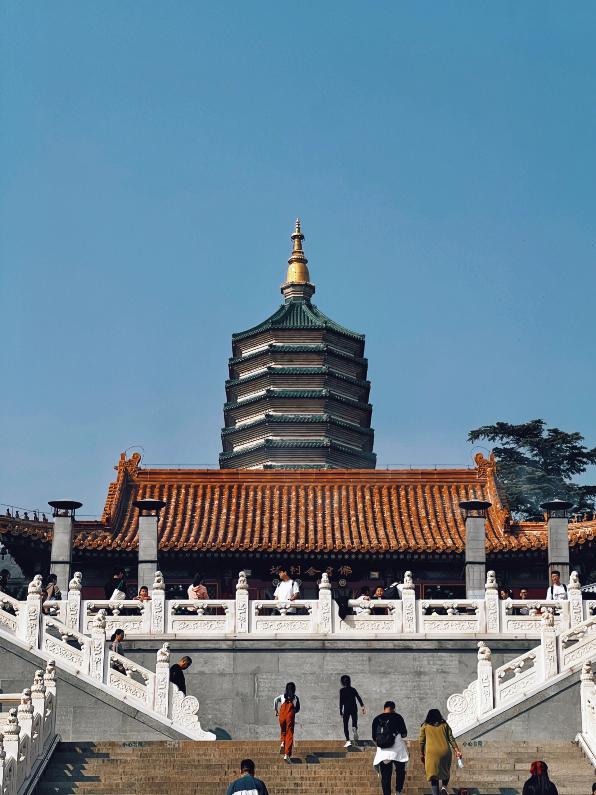 北京丨八大处公园 八大处位于西山南麓,由西山余脉翠微山,虎头山,卢