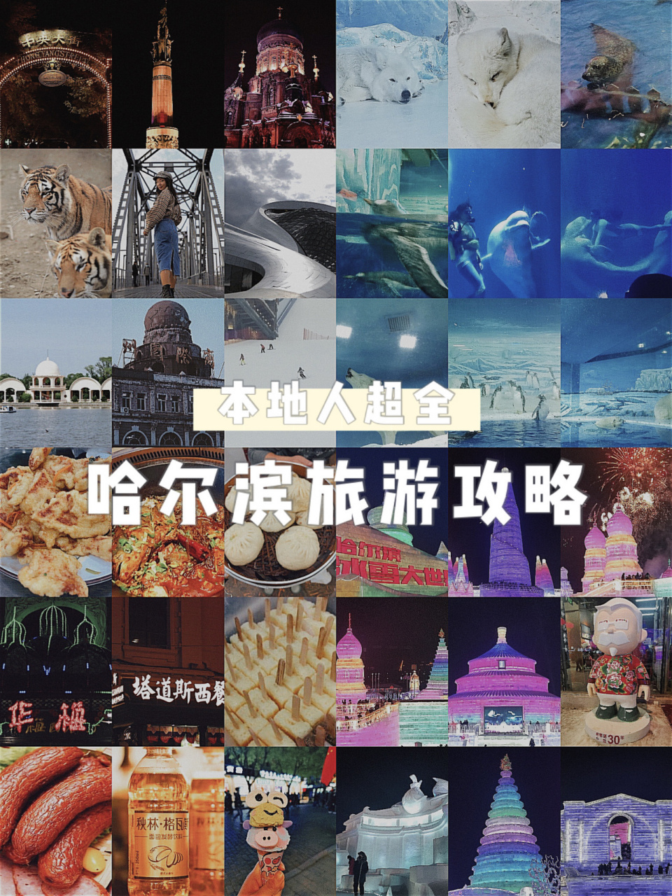本地人超详细哈尔滨旅游攻略|附线路地图 相信大家都被哈尔滨下雪的