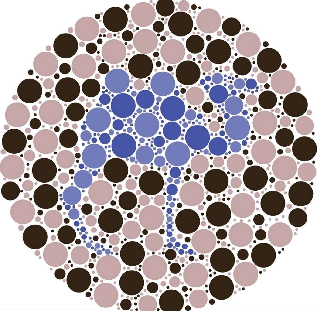 色盲测试自测红绿色盲图‖第十三期 最后一个我没有认出来,你能认出来