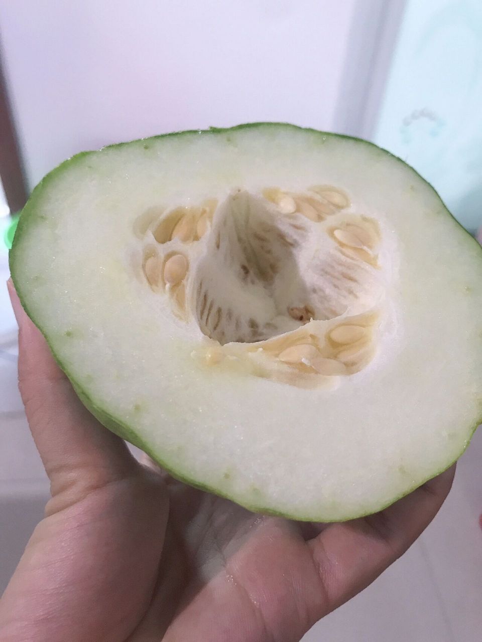 有一种瓜叫烧瓜