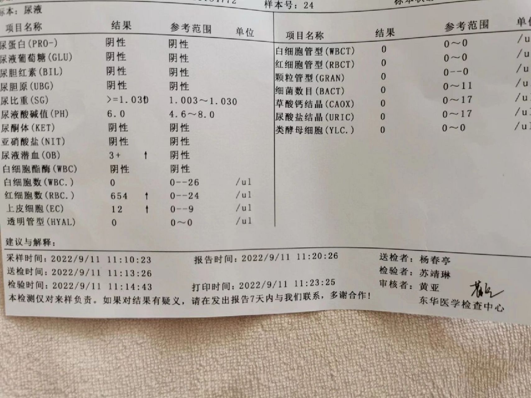 尿隐血弱阳性图片