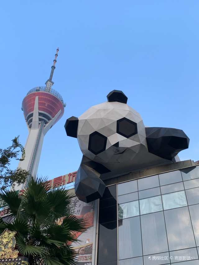 超强攻略_玩转成都天府熊猫塔之行