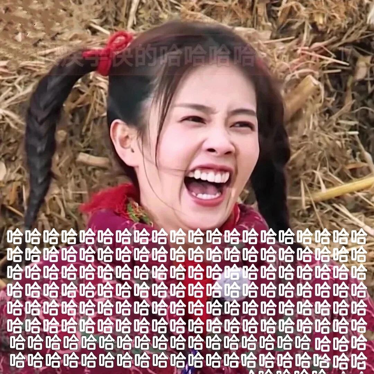 白鹿表情包第一弹(原创)