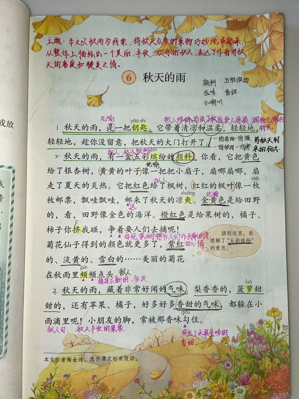 66615三上语文《秋天的雨》 99第五课写的是秋天美丽的水泥道