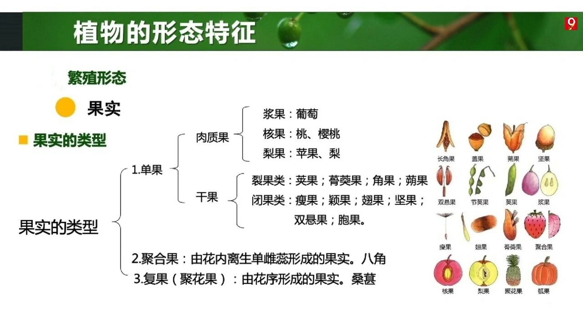 自然教育