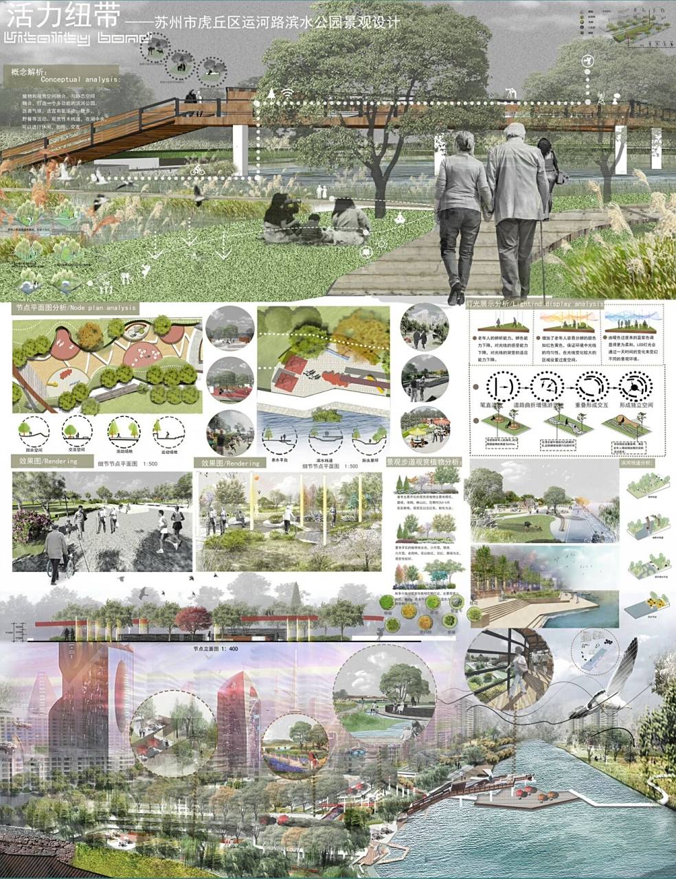 滨水公园景观设计展板案例分享,快快收藏73 植物和观赏空间融合,与