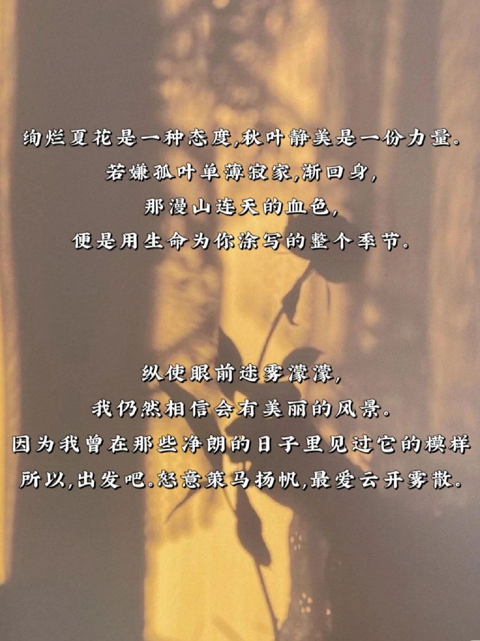 撒贝宁神仙金句97一开口就是满分作文