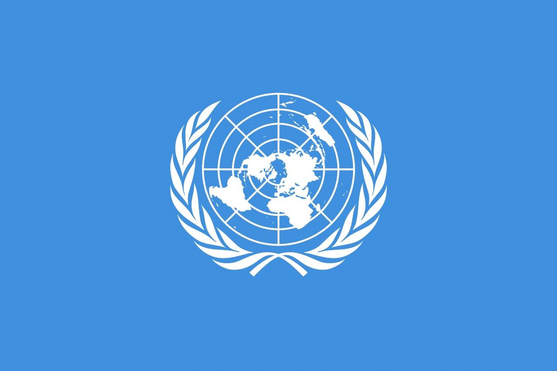 联合国解释 联合国 政府间国际组织 united nations(英文)