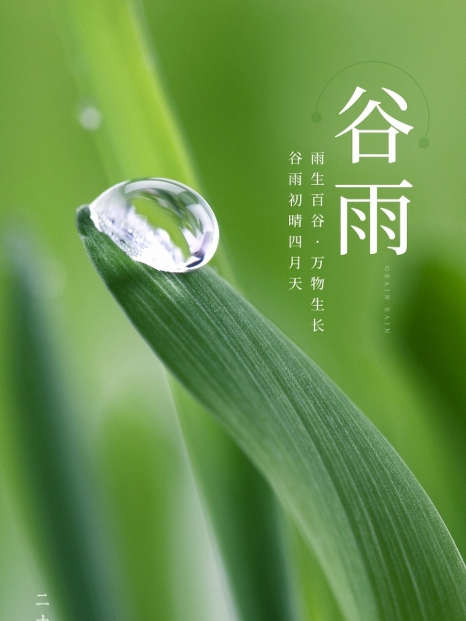 谷雨的播种在开始,明日的收获在期待.