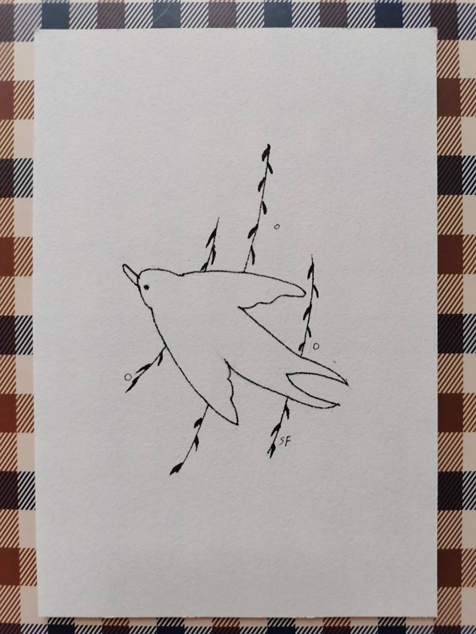 简笔画95-96针管笔手绘 自由飞翔的鸟儿 简笔画95-96针管笔手绘 自由