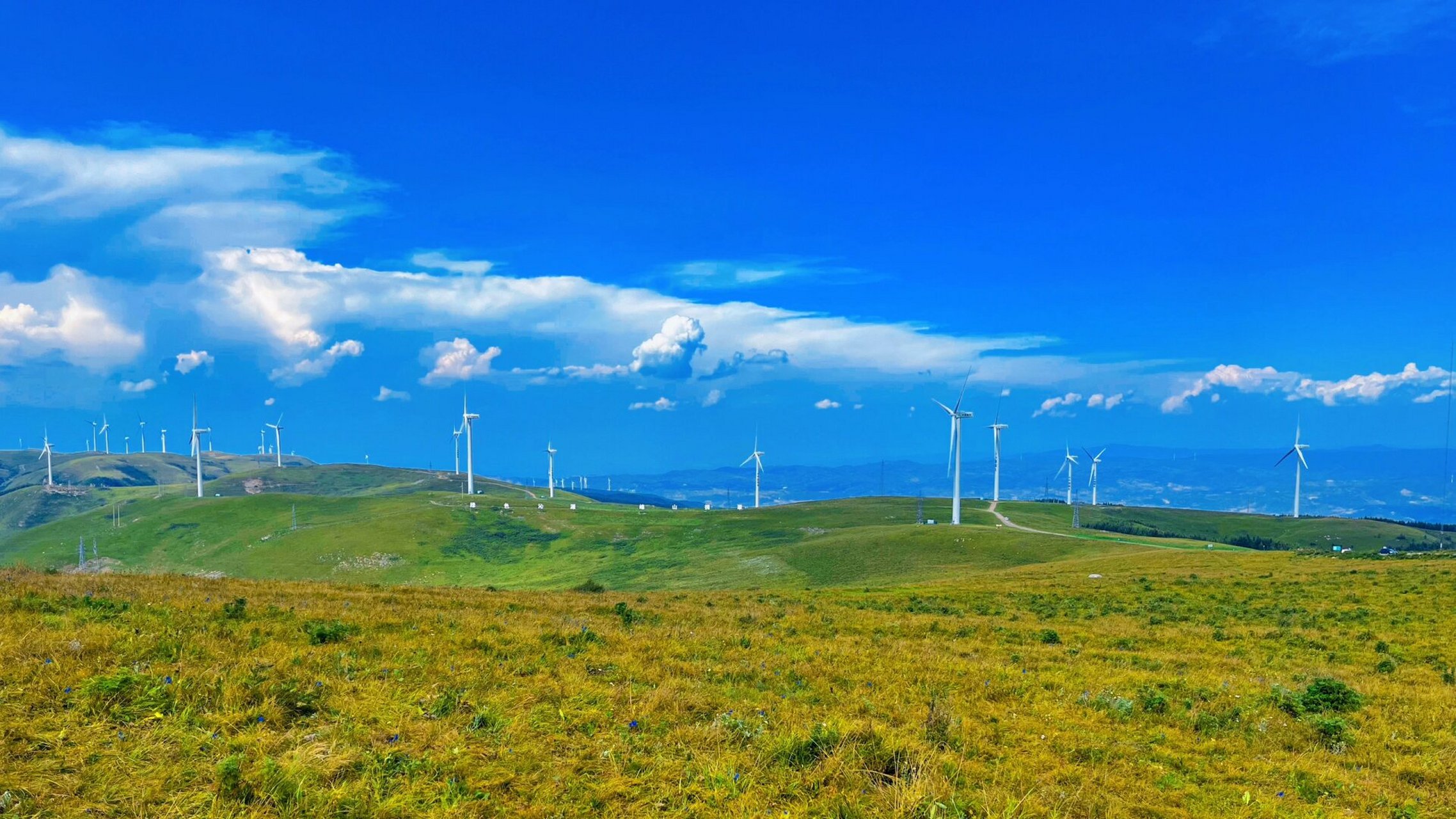 山西最美草原 沁源县花坡草原