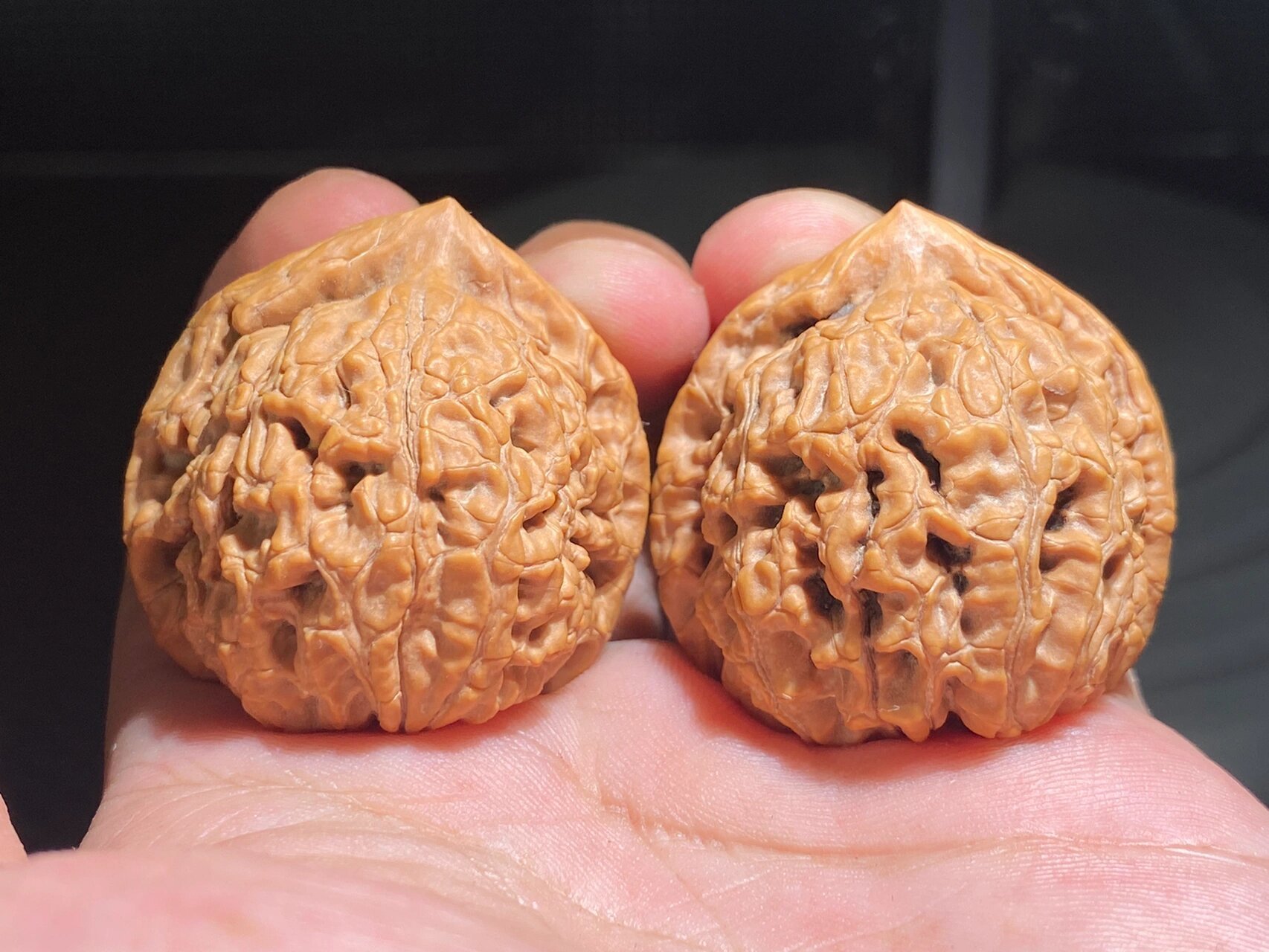 今天给大家介绍一款水龙纹狮子头 这个核桃的话是以核桃纹路命名的