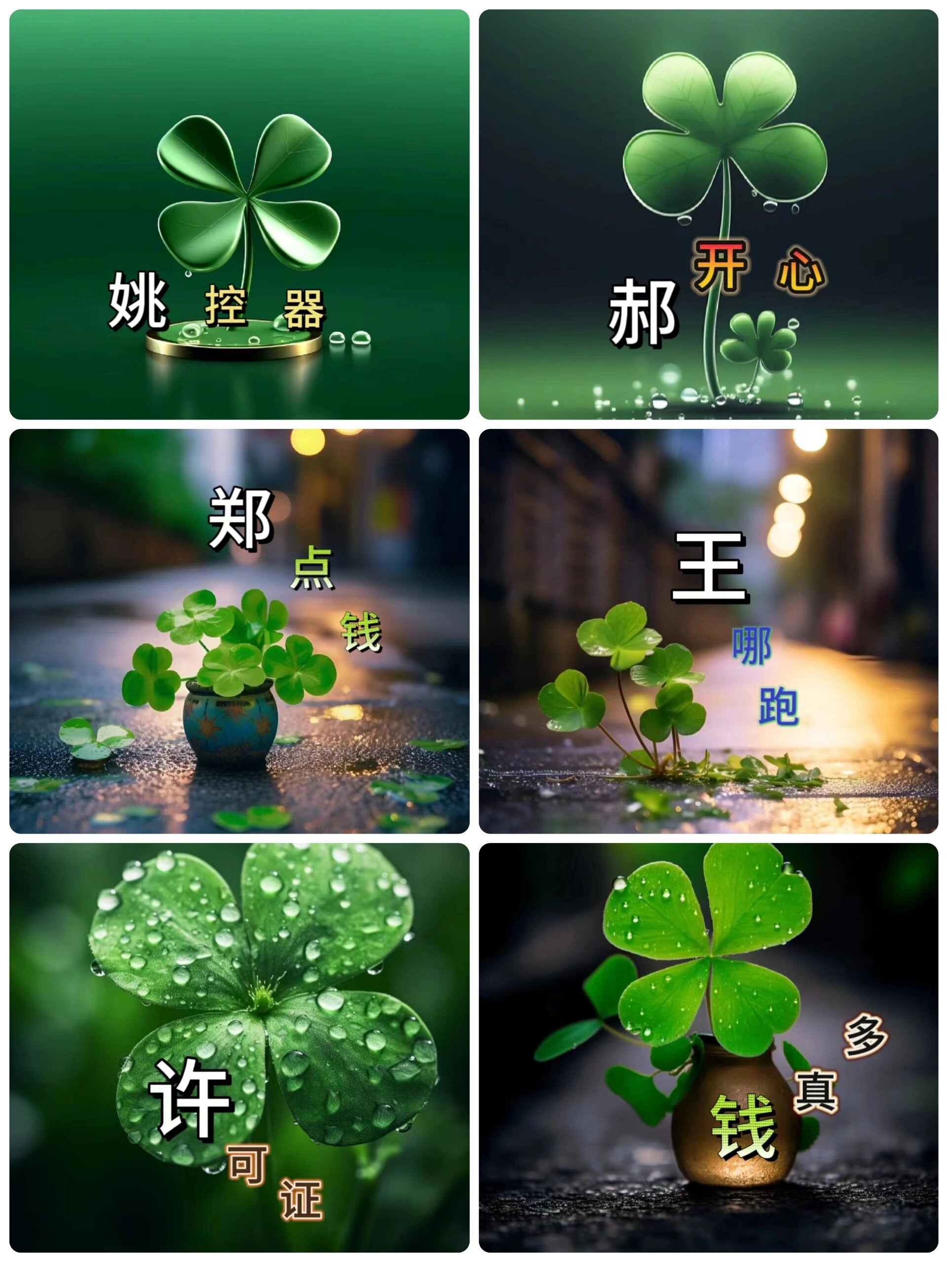 四叶草姓氏谐音梗头像你留字我作图