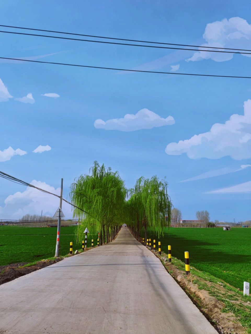 微山县独山岛,济宁隐藏的小威海  微山县独山岛