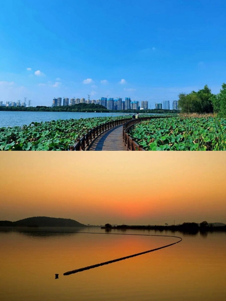 武汉小众景点|湖北武汉后官湖国家湿地公园 交通线路 ①自驾游路线