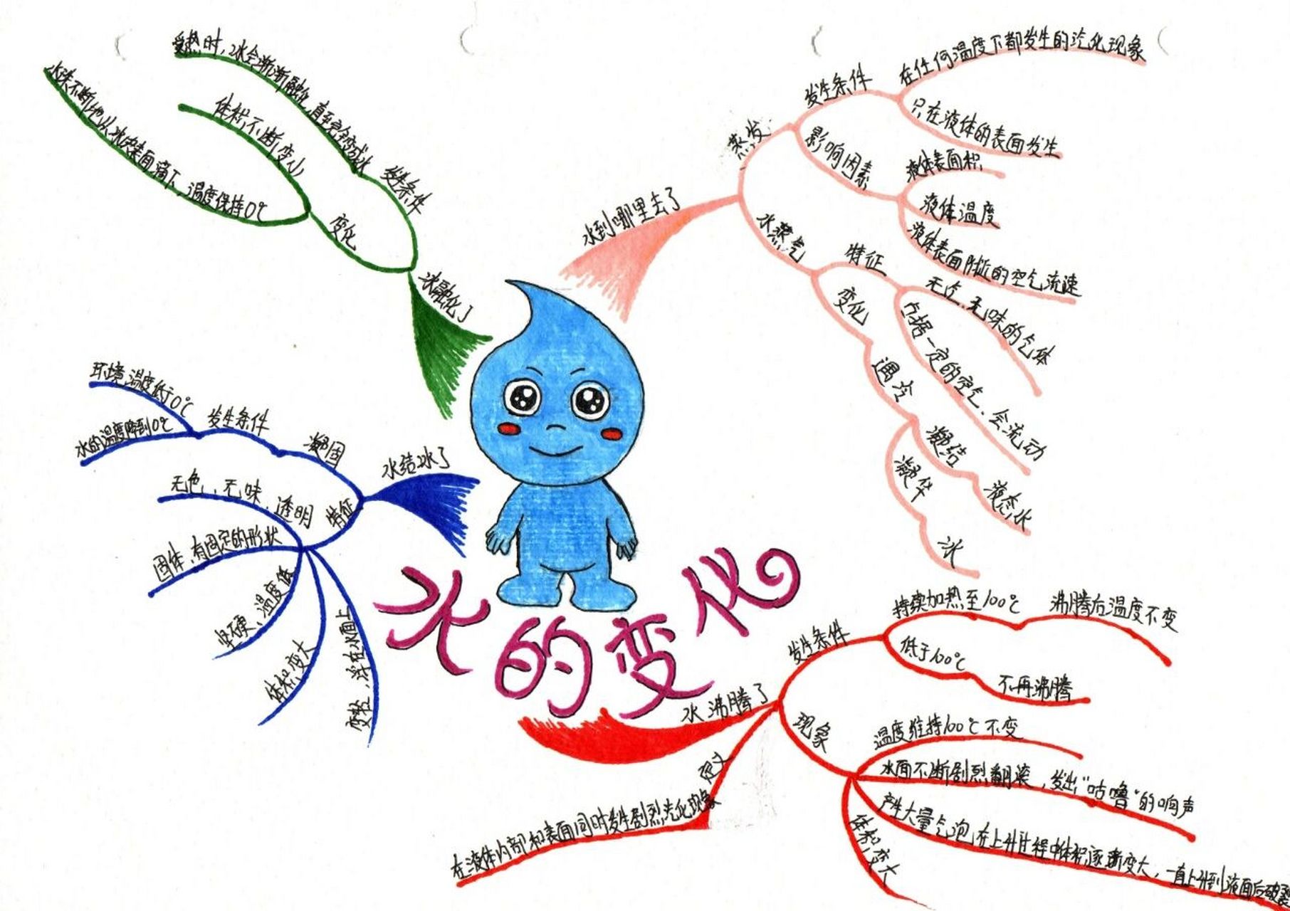 三年级上册科学全部思维导图     期末考试加油!