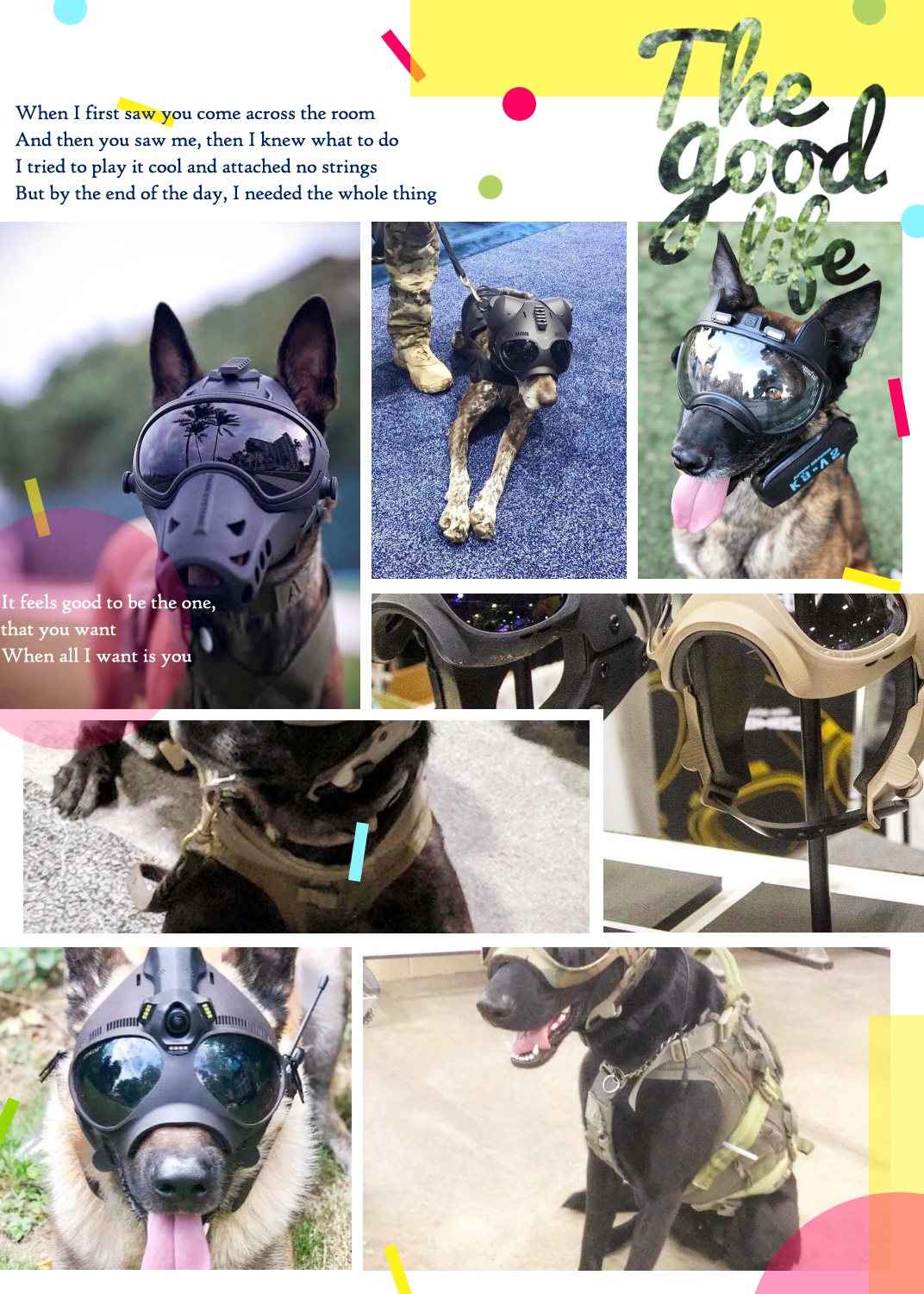 参与人类救援行动的,都会佩戴 k9 战术头盔!