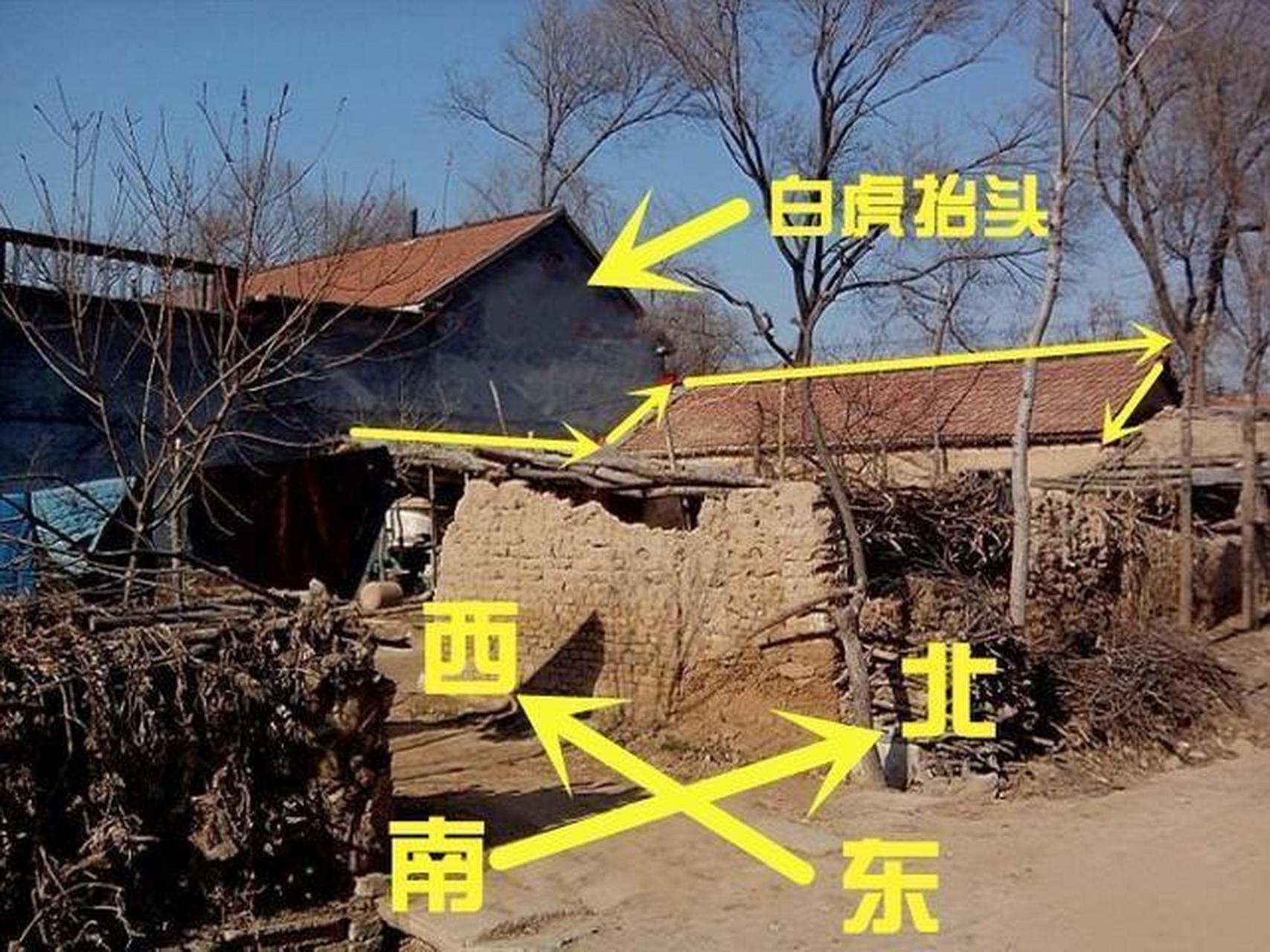 白虎盖青龙,代代有人穷!