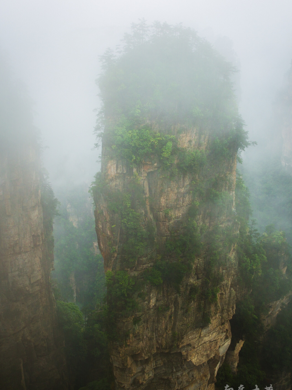 阿凡达悬浮山原型对比图片