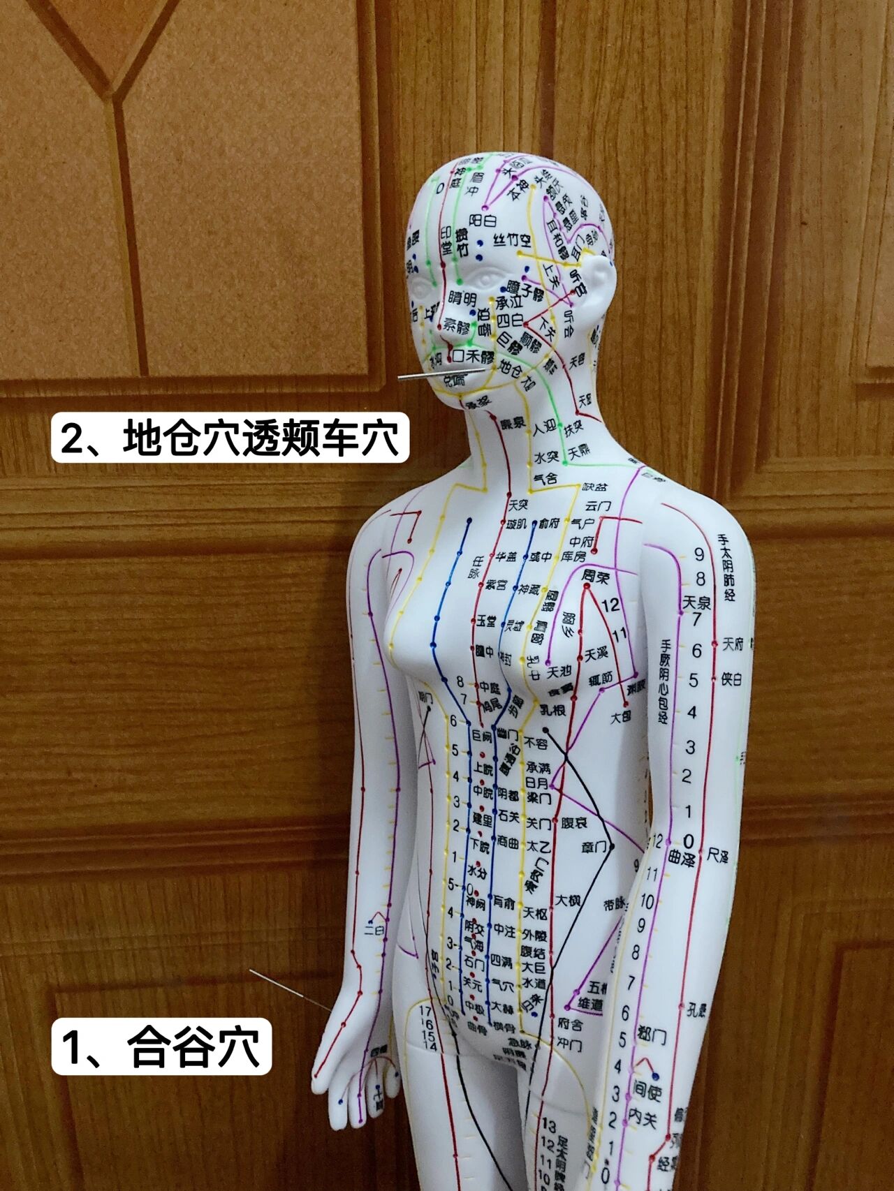 倪海厦 | 面部中风(面瘫)地仓透颊车