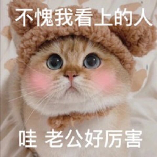 老公奴表情包