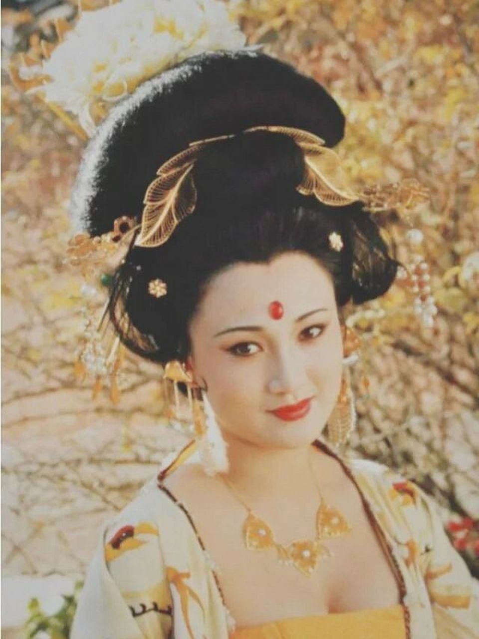 90年代的标准美人儿 还演过《唐明皇》里的贵妃姐姐