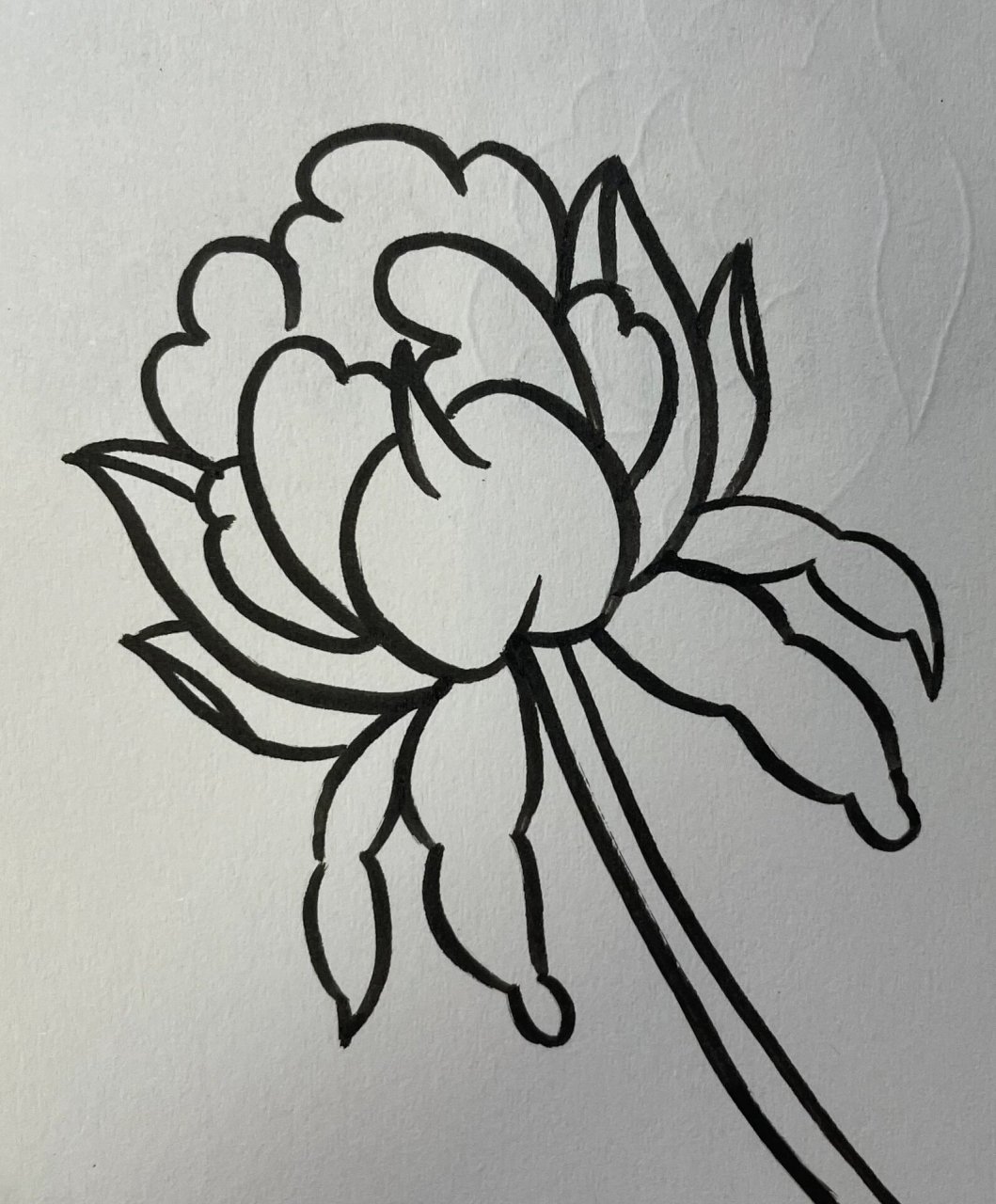 是简笔画很简单哦 #牡丹花绘画##牡丹花绘画素材# #牡丹花简笔画