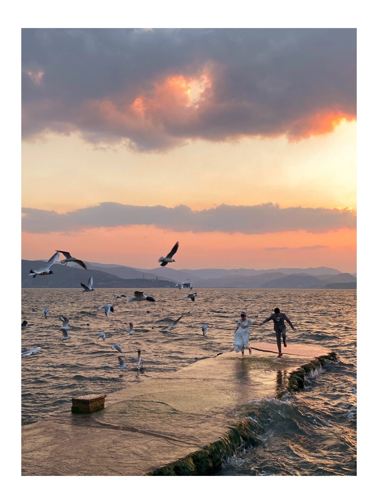 用手机拍的一些竖构图|99