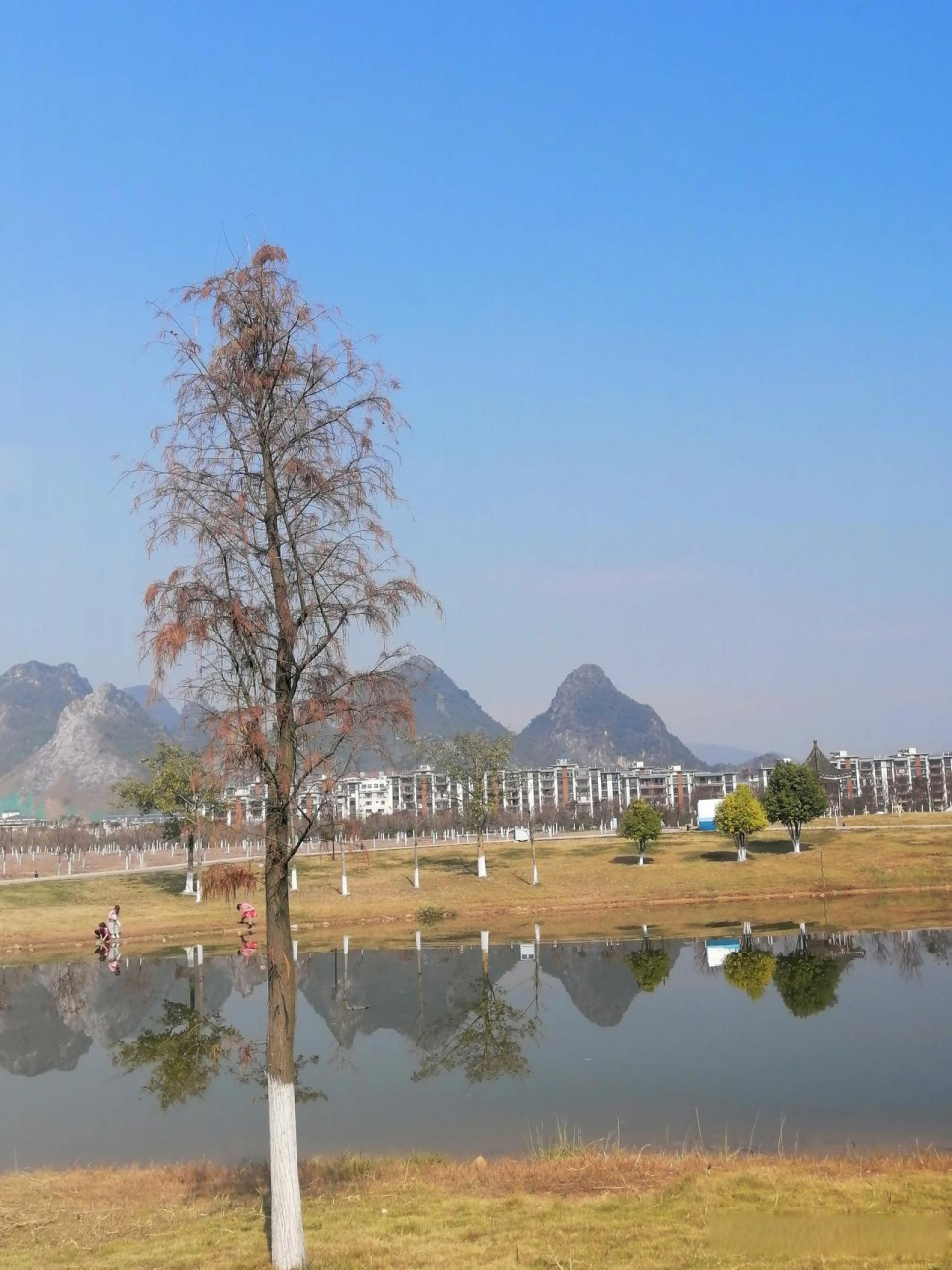 大地之旅冬日特别篇广西 广西贺州爱莲湖公园,树木翠绿,湖水清澈,一片