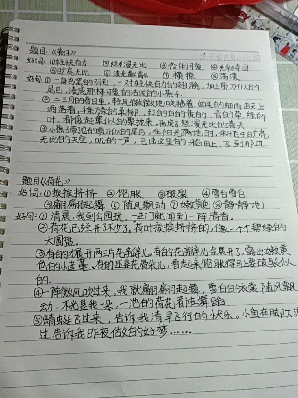 三年级下册读书笔记 《燕子》《荷花》