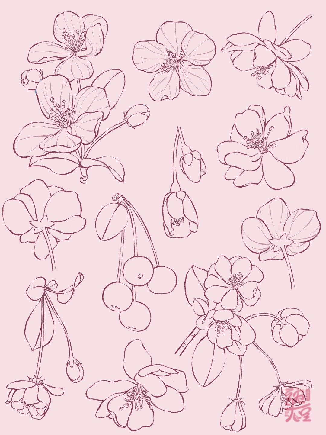 你们要的海棠花教程来啦