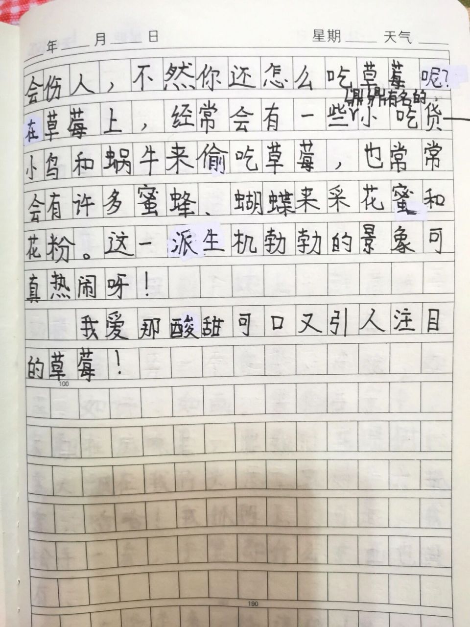 摘草莓日记300字三年级(摘草莓日记300字三年级上册)