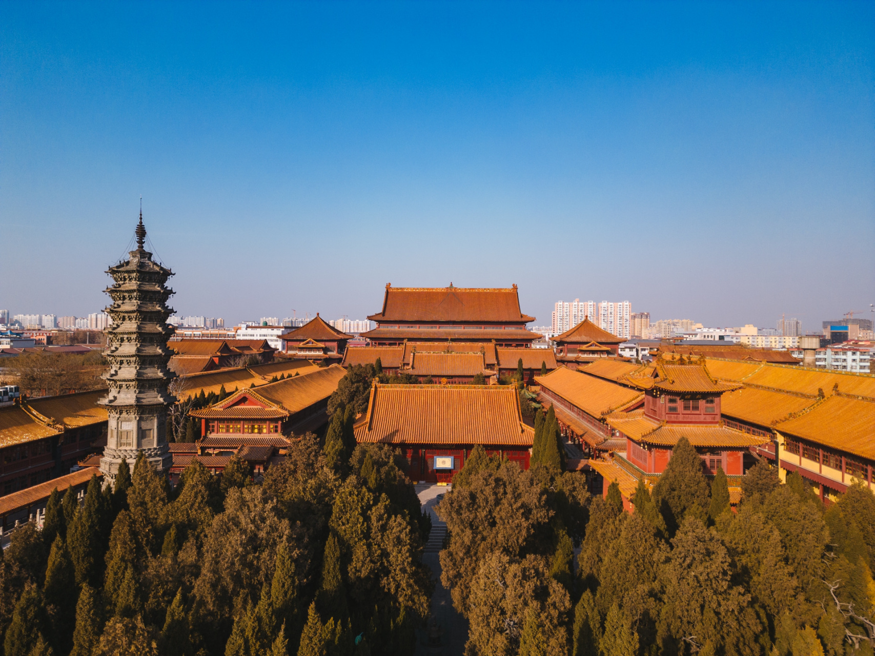 赵州桥,这个县还有一座国宝级柏林寺塔 07 第3天,河北赵县柏林寺塔