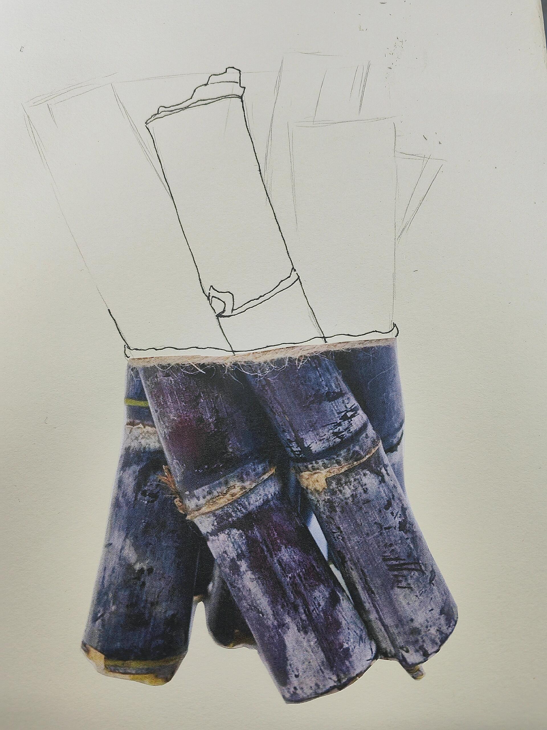 8-10岁线描写生—甘蔗(带步骤和素材