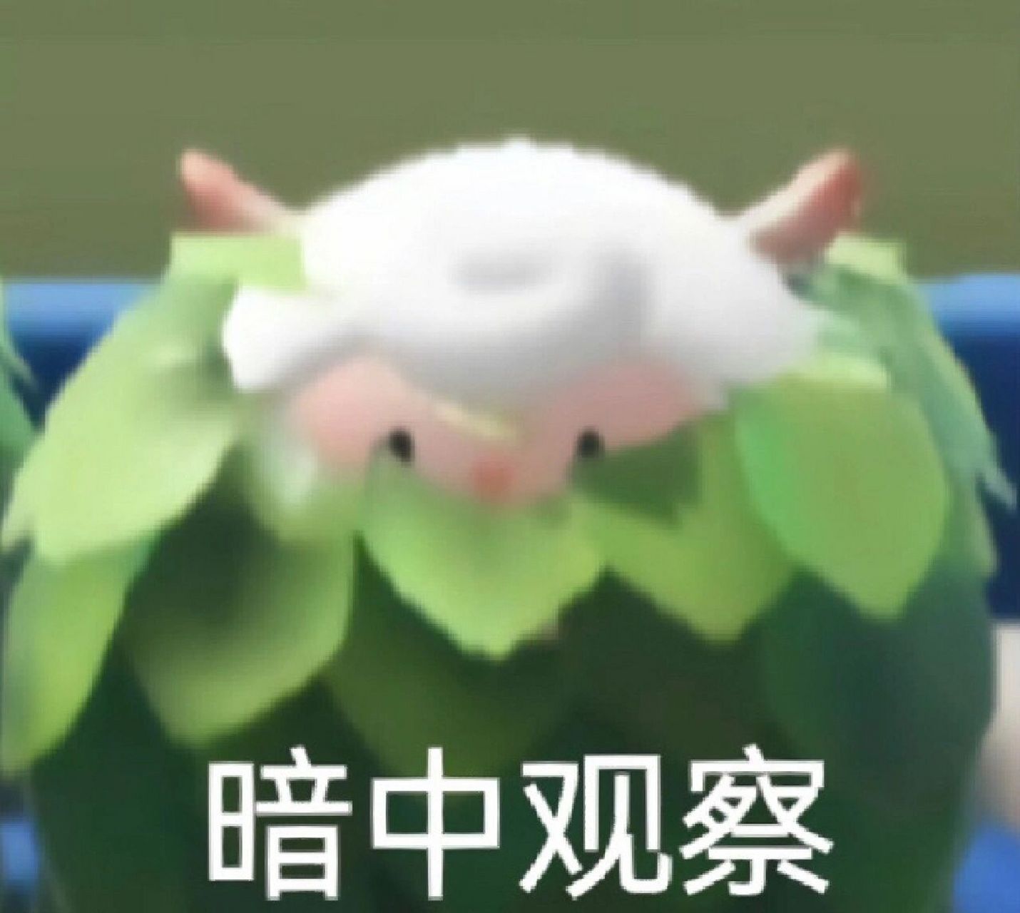 dongdong羊表情包99第二弹    嘿嘿嘿又搜刮了一点点表情包 第一弹