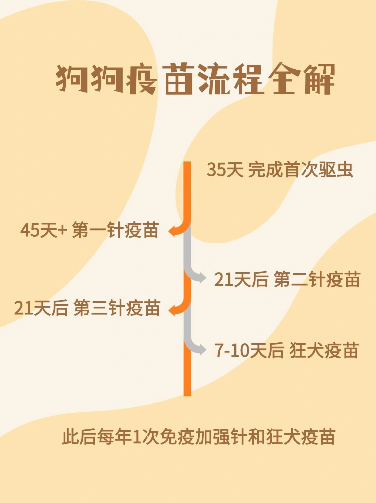 98 狗狗疫苗全攻略!一篇解决打什么?怎么打