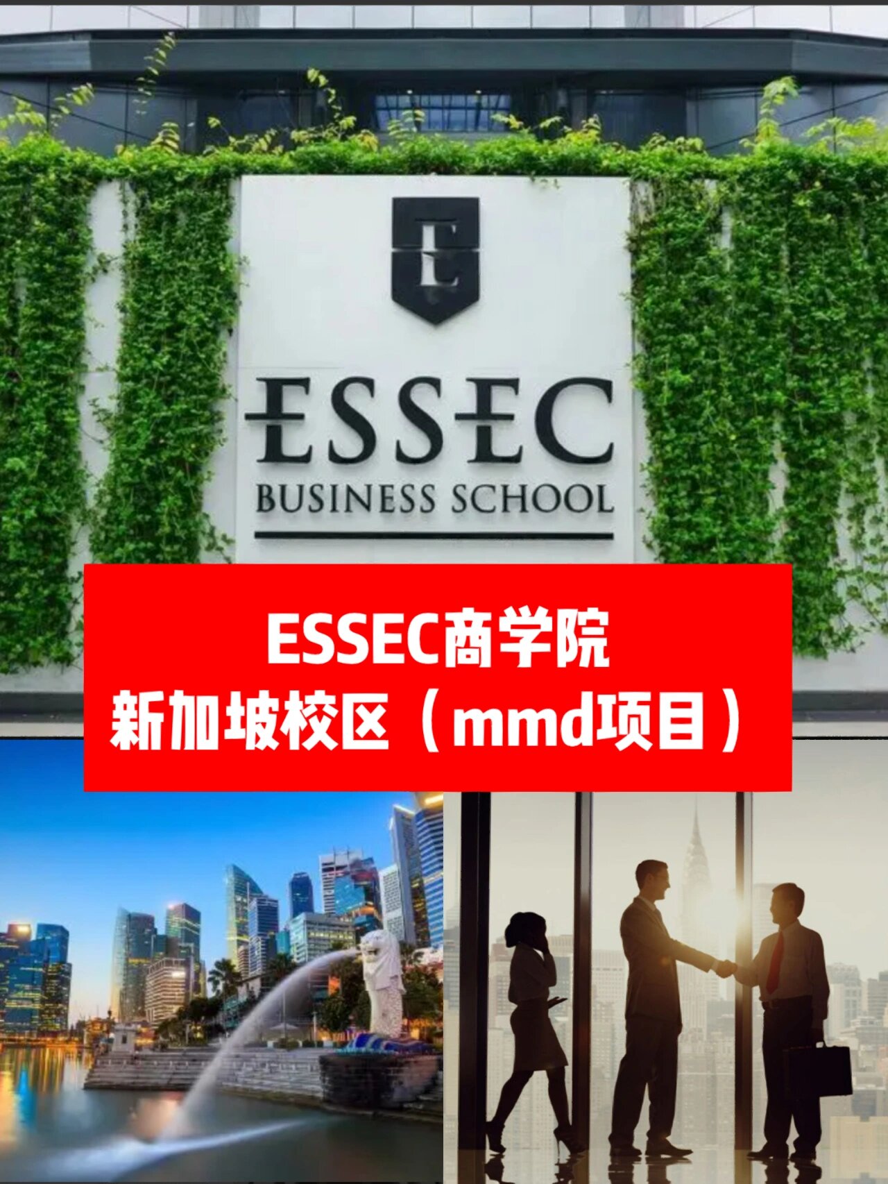 essec新加坡校区申请图片