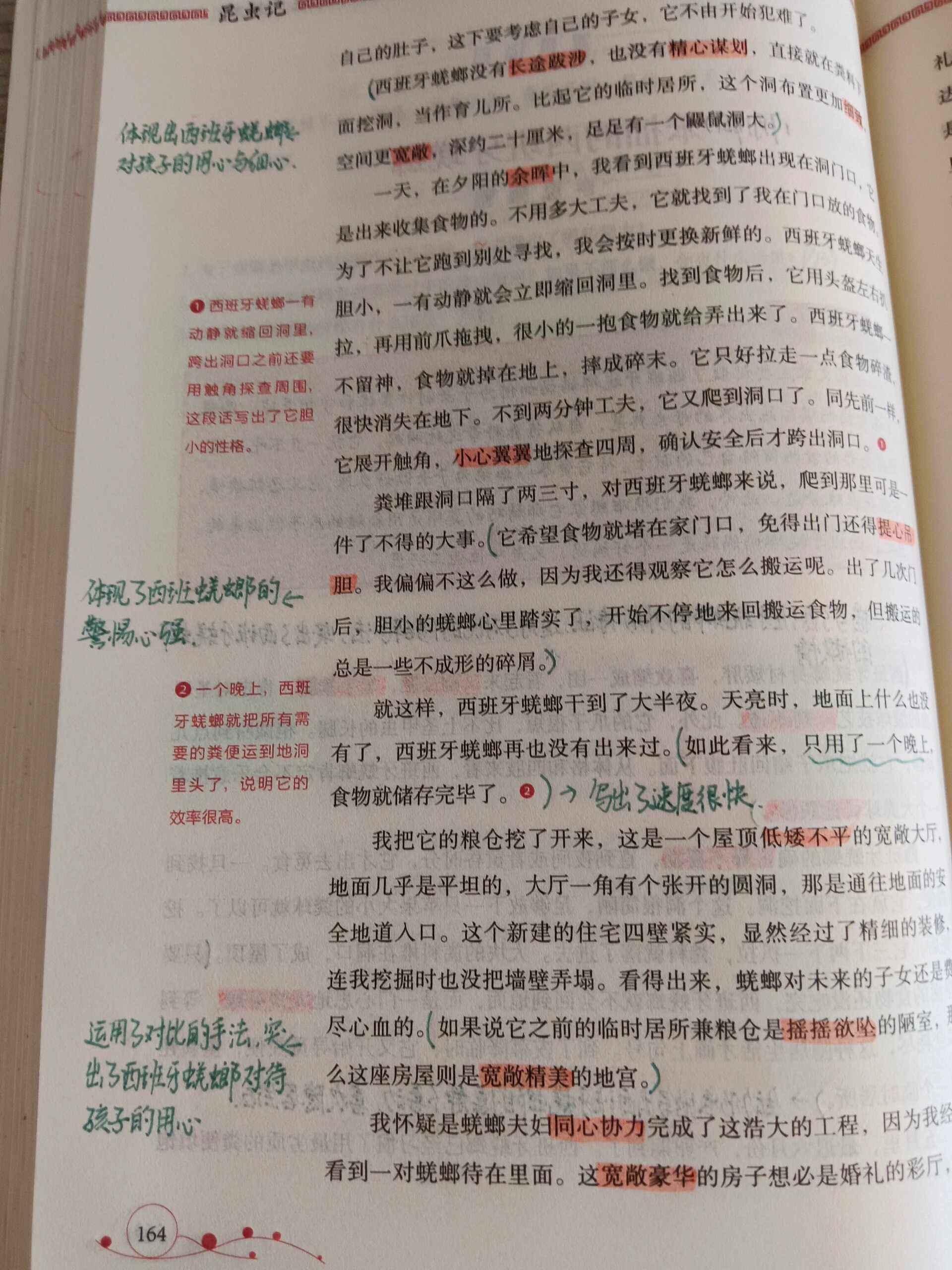 《昆虫记》第二十五章《笨拙的西班牙蜣螂