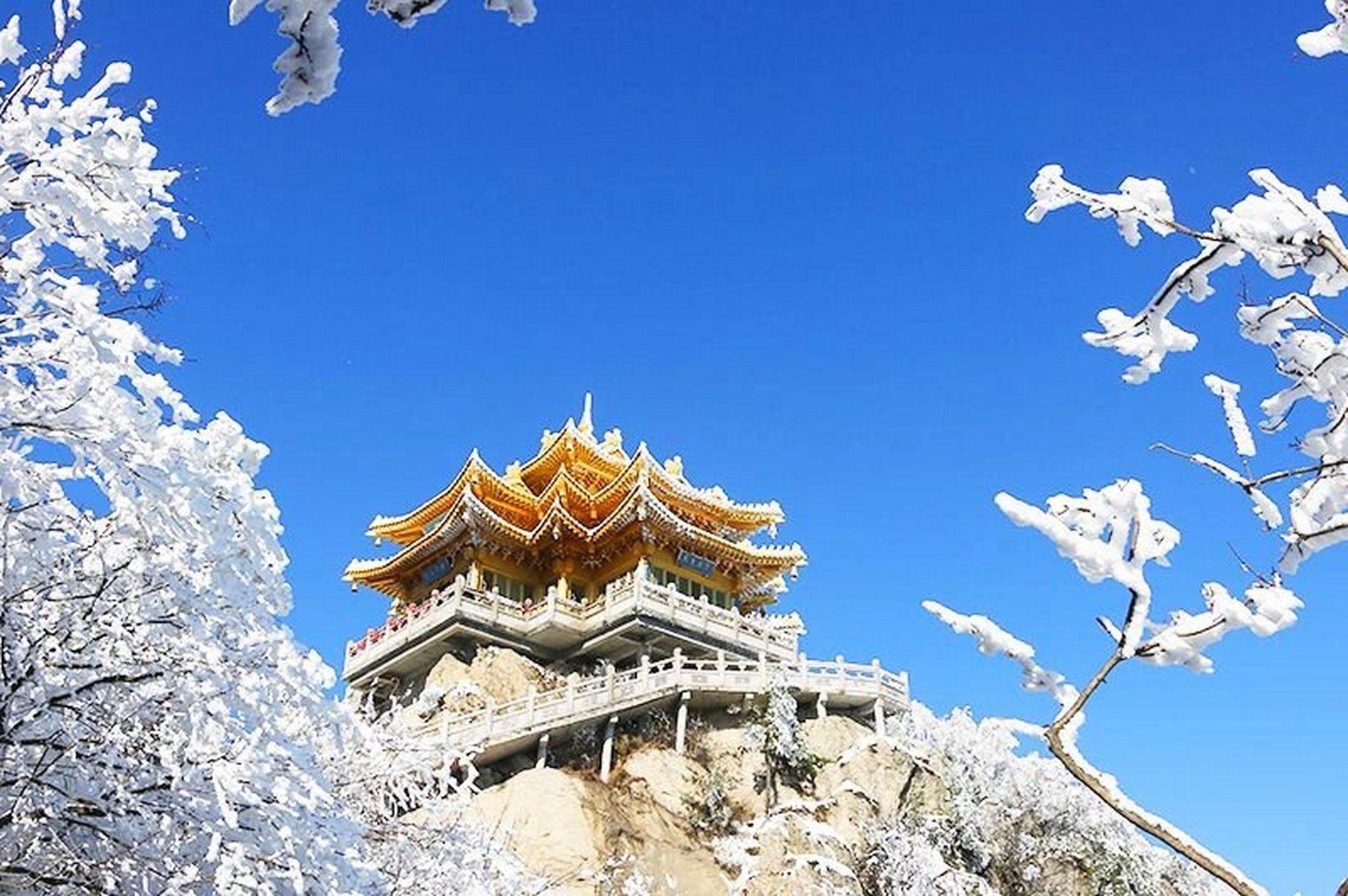 这个冬天一定要来看老君山雪景,太美啦 7615他朝若是同淋雪,此生
