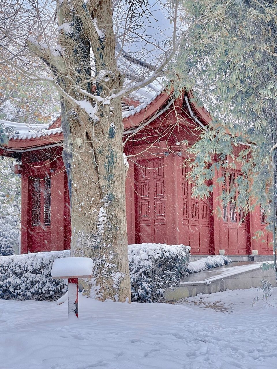 橘子洲头雪景照片图片