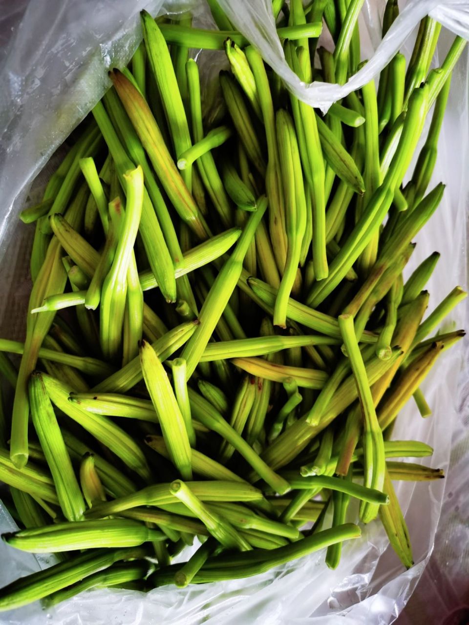 赶集看到一个老大爷在卖新鲜黄花菜,兴奋的买了一些准备回家炒肉.