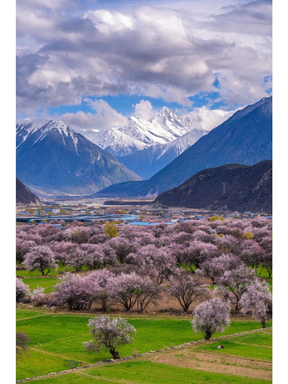 波密桃花沟深处的倾多镇该去哪里拍桃花?