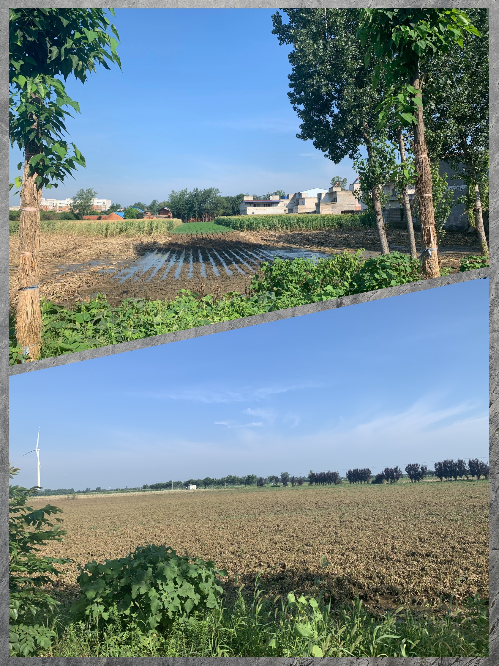 雨后农村图片