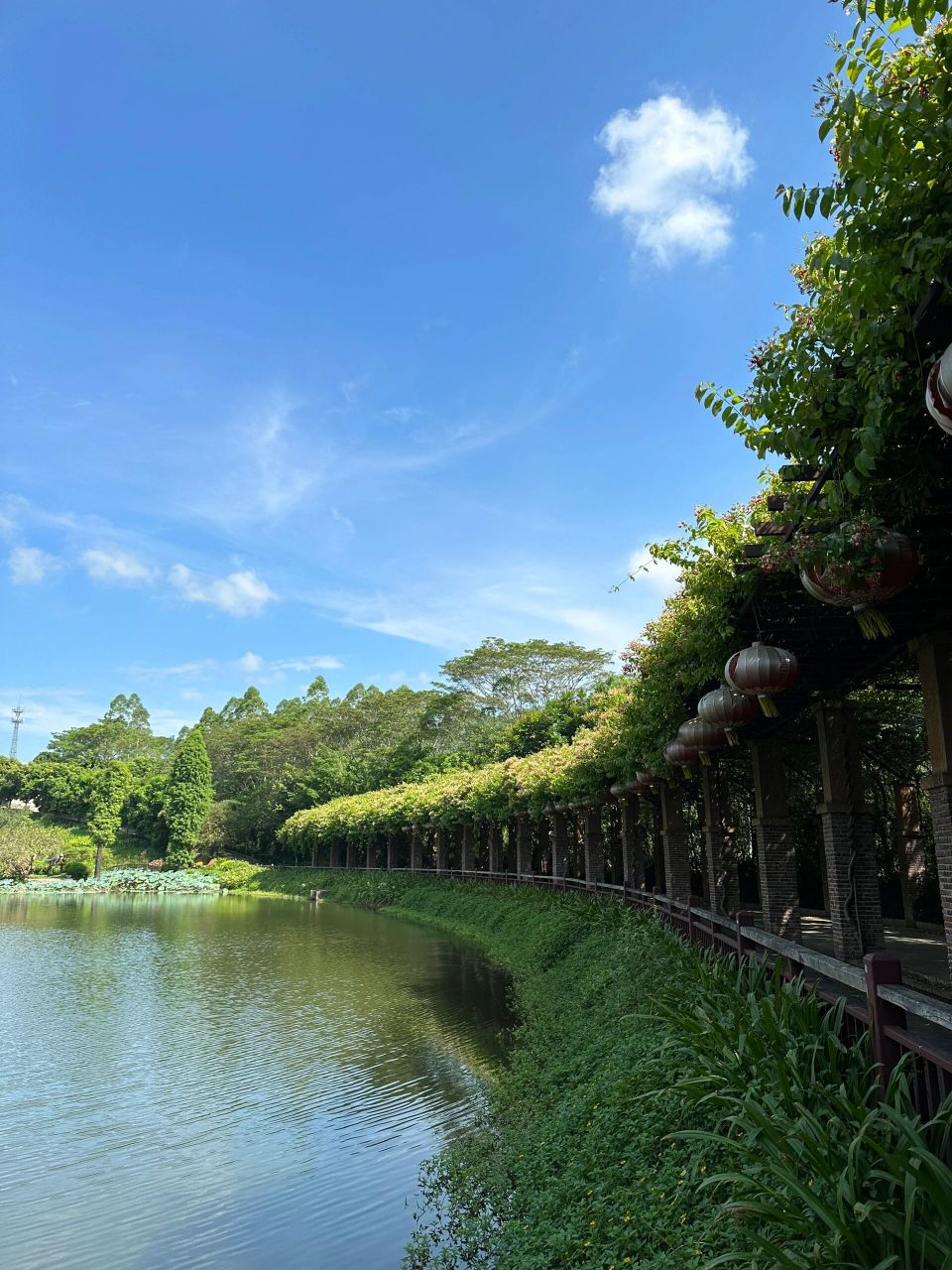 99潮州|青岚怪臼国家地质公园 粤东首个国家地质公园,潮州新八景之