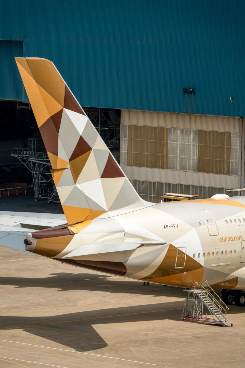 再见 阿提哈德大💎 阿提哈德航空空中巨无霸a380(注册号a6-apj)在