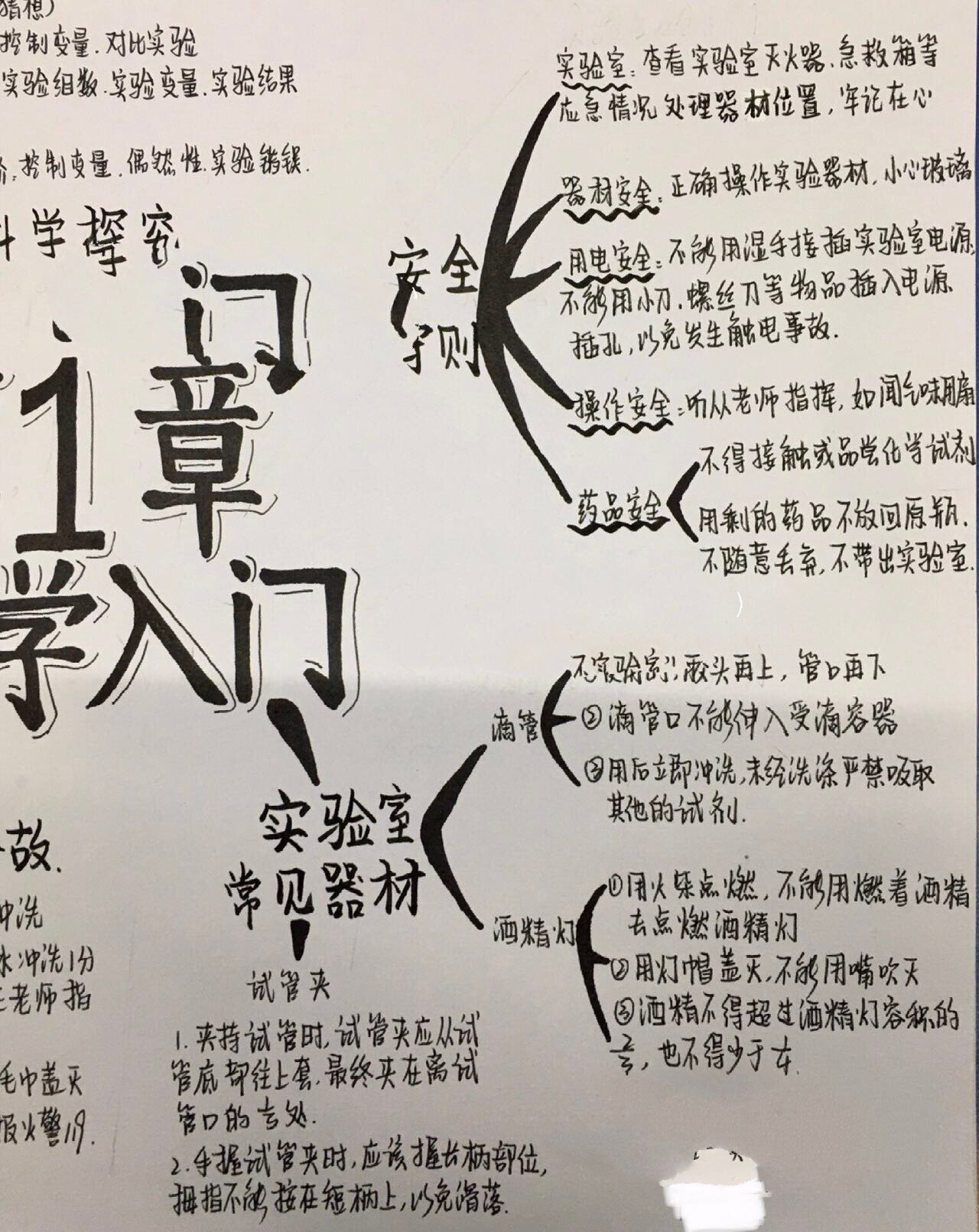 七上走近科学思维导图图片