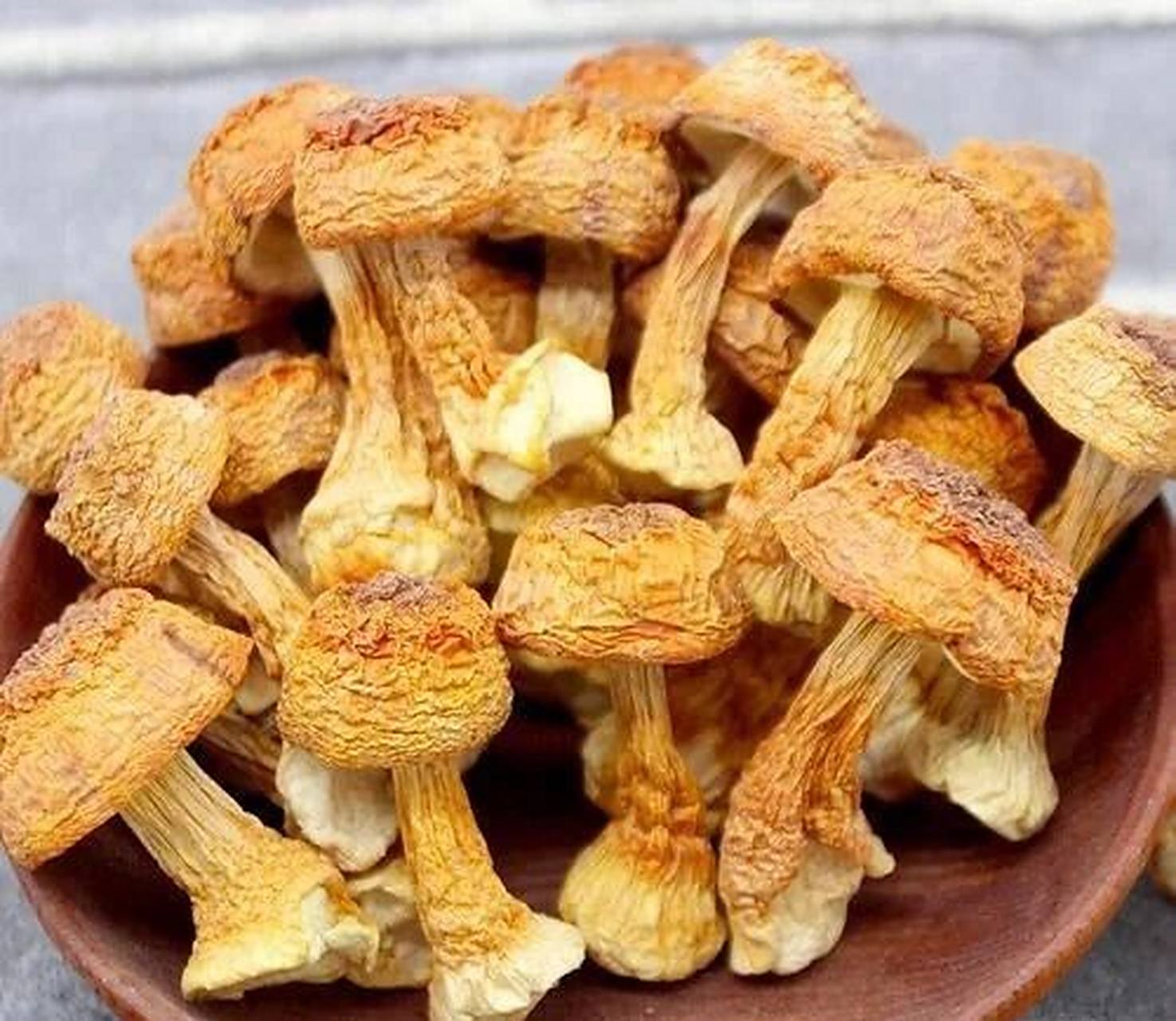 武陵山珍|松茸与姬松茸的区别 很多人都不知道松茸和姬松茸是两种不同