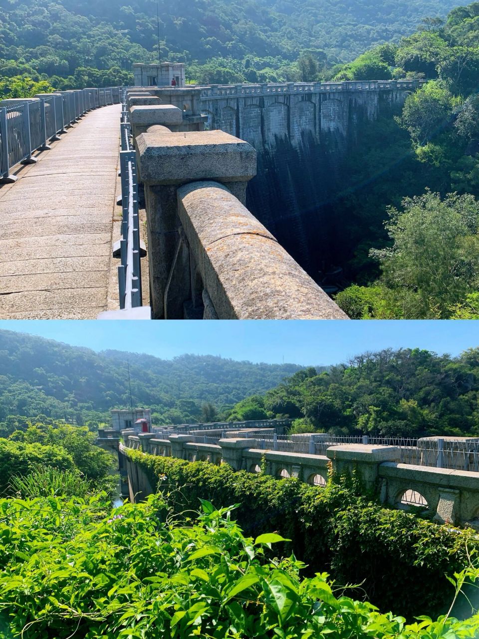 厦门上李水库公园,魅力青青世界   厦门植物园东门对面的上李水库公园